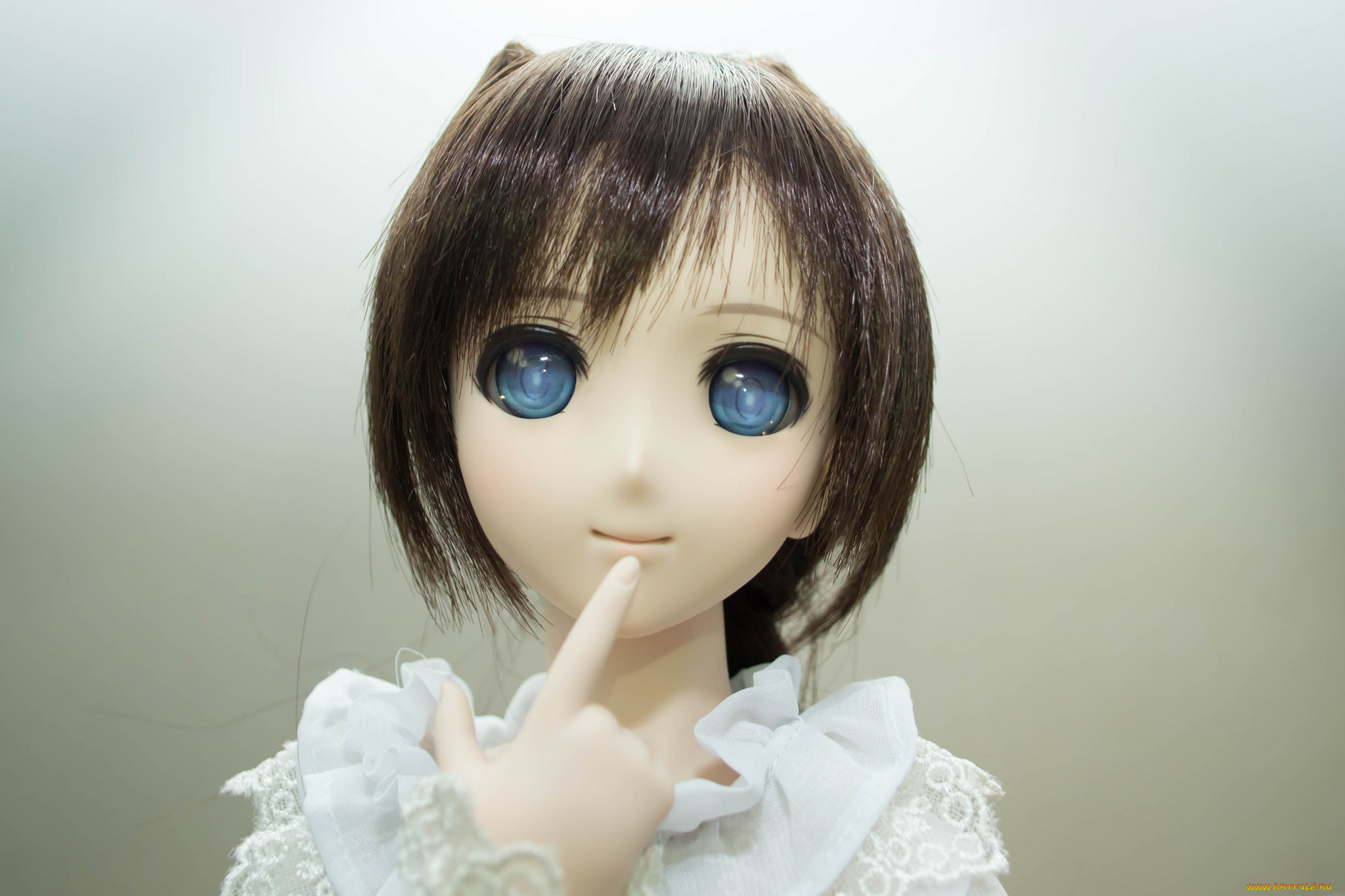 , , , 
